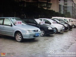 綠化道變經營地，宜賓翠柏大道的“后臺”之謎